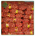 hot selling Fresh Red Onion / Yellow Onion 4 - 6cm 5 - 7 cm 8 - 10 cm from Shandong China